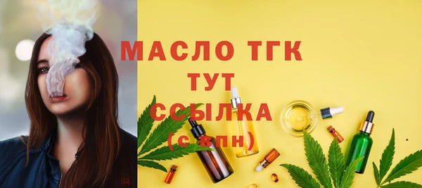 2c-b Ельня