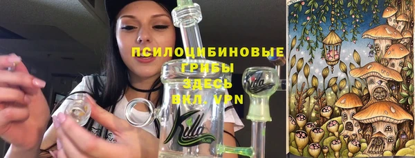 спайс Алексин